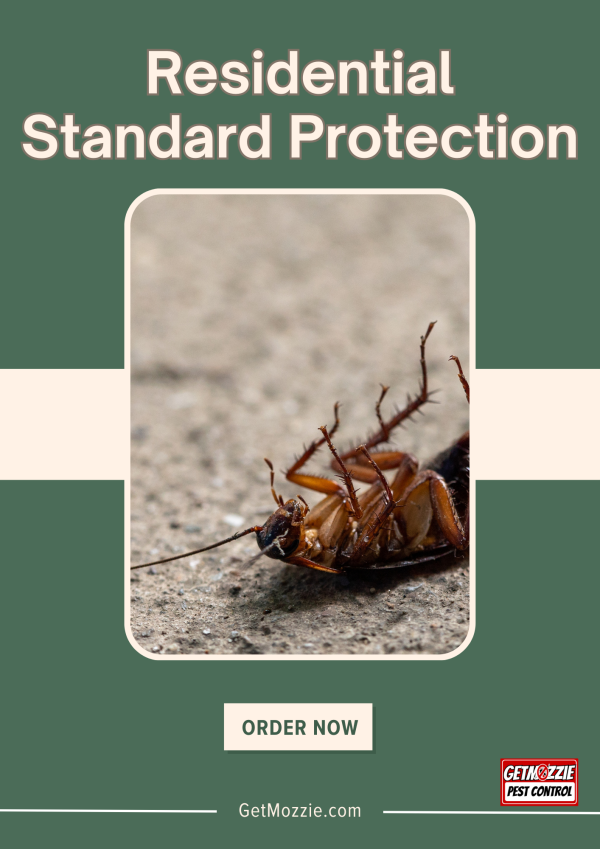 Green Cream Minimal New Product Flyer (1) Residential Pest Control Package - Standard Protection